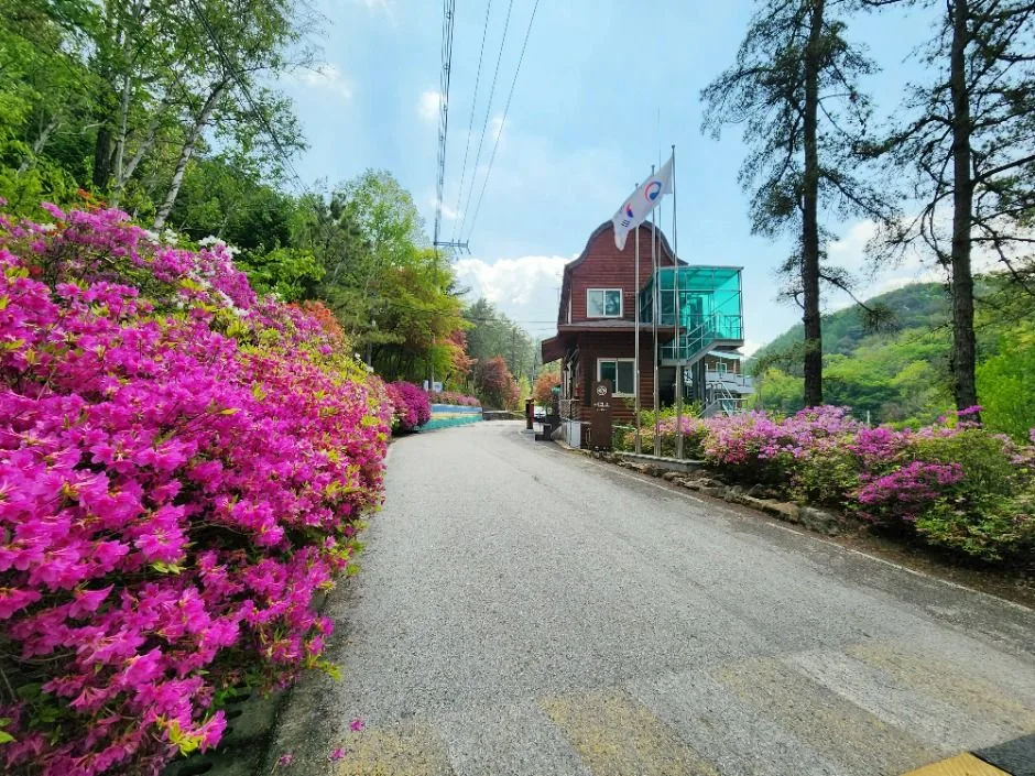 보은_국립속리산말티재자연휴양림 (5)