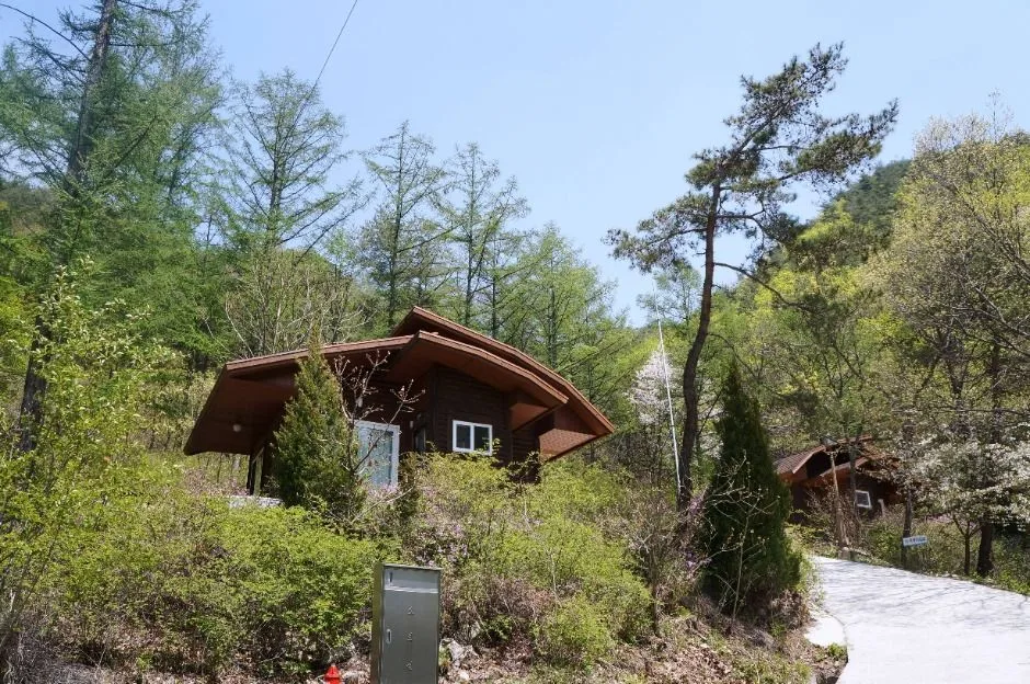 보은_국립속리산말티재자연휴양림 (9)