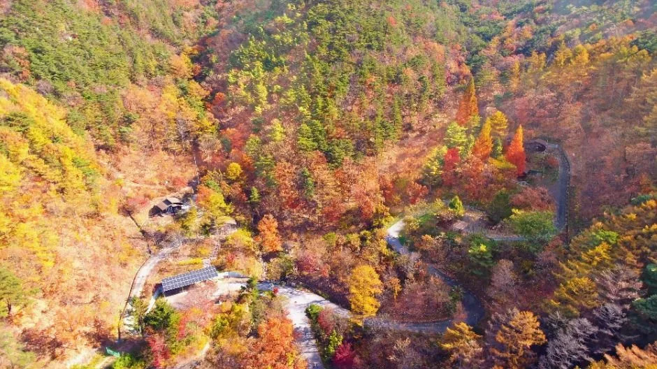 보은_국립속리산말티재자연휴양림 (7)