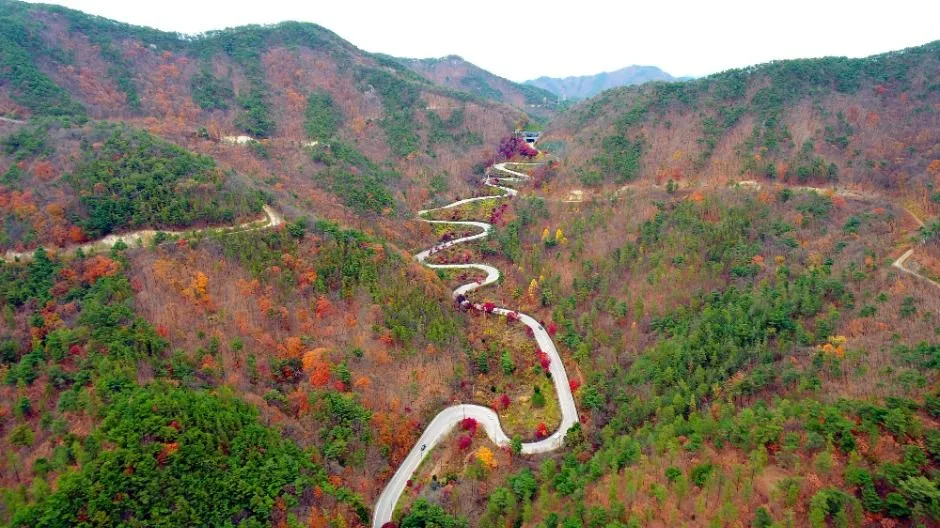 보은_국립속리산말티재자연휴양림 (2)