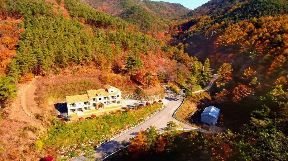 보은_국립속리산말티재자연휴양림 (4)
