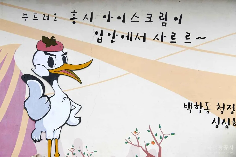 광양_백학동마을 (5)