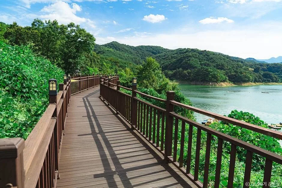 충북 단양 제천 여행 아이랑 가볼만한곳_옥순봉 출렁다리_3-5
