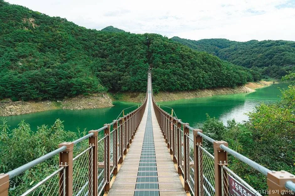 충북 단양 제천 여행 아이랑 가볼만한곳_옥순봉 출렁다리_3-3