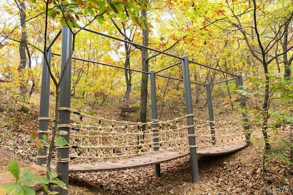 서울_지양산(무장애숲길, 유아숲체험원) (2)