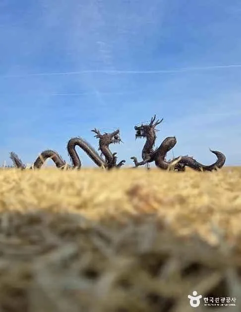 김제 벽골제_14