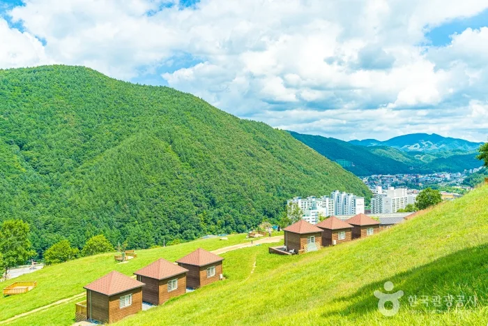 강원_태백시_몽토랑 산양목장 (4).jpg