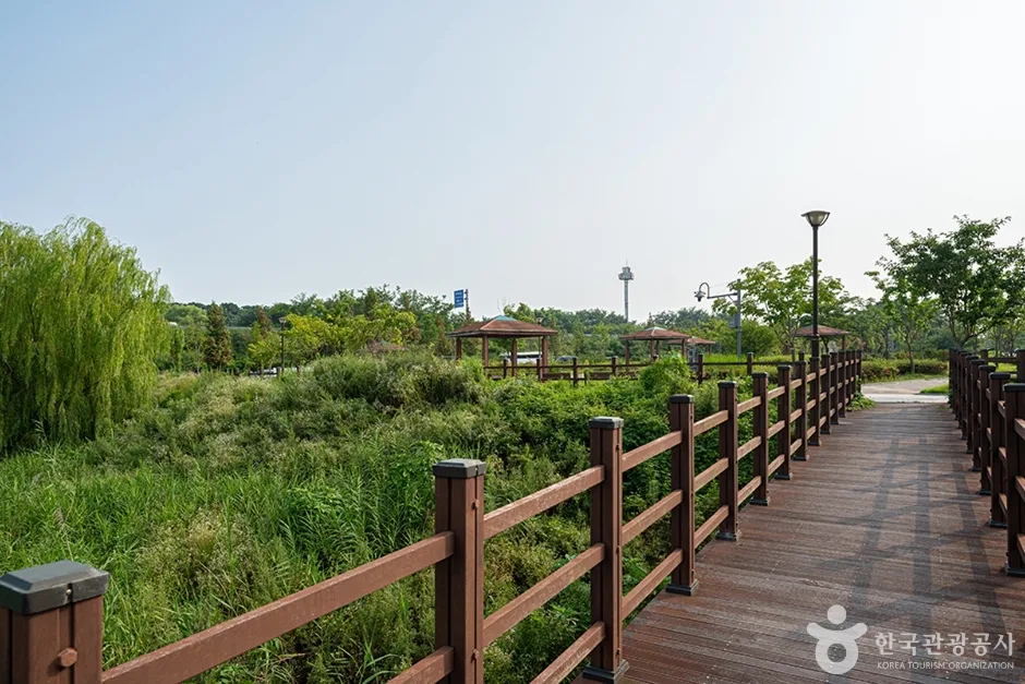 봉골근린공원 (5)