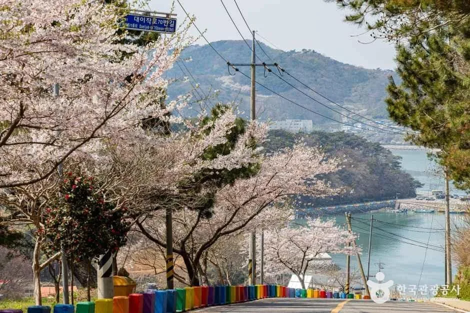 인천_웅진_대이작도 (7)