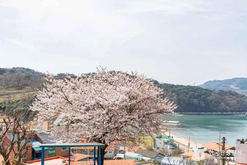 인천_웅진_대이작도 (6)