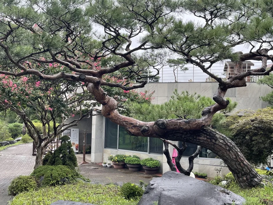 충남_홍성_그림같은수목원_풍경4