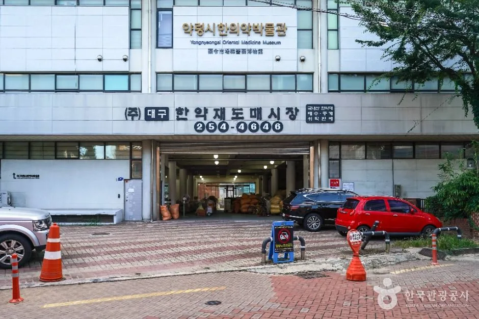 대구_대구 약령시 한의약박물관 (2)