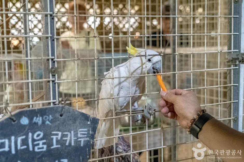 애니멀스토리11