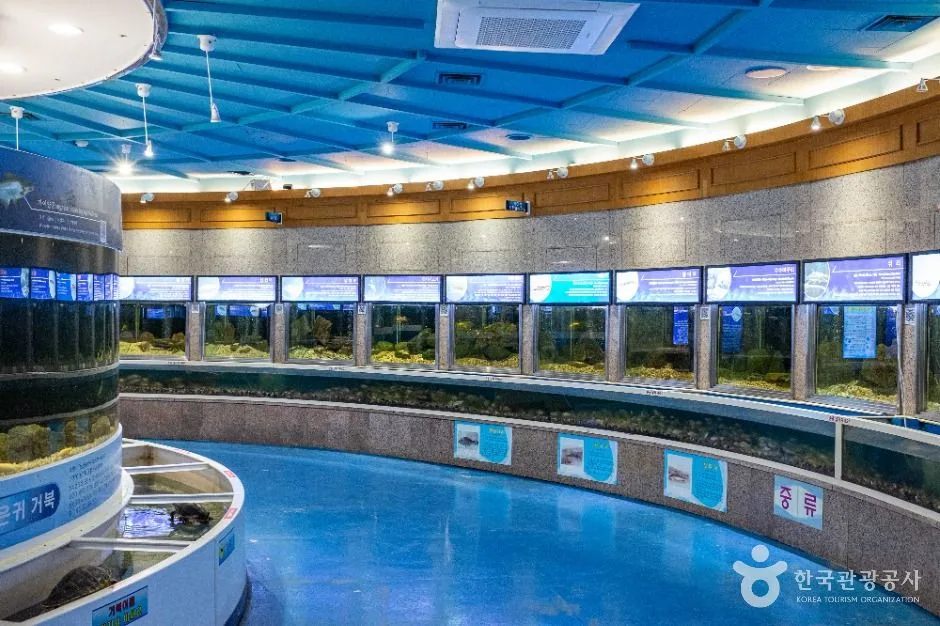포항_경상북도교육청과학원 (6)