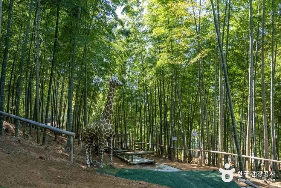 거제_거제맹종죽테마공원 (6)