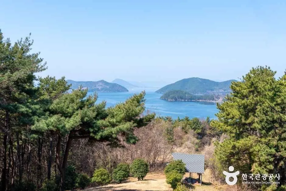 거제_거제맹종죽테마공원 (8)