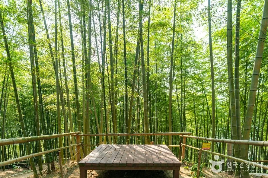 거제_거제맹종죽테마공원 (4)