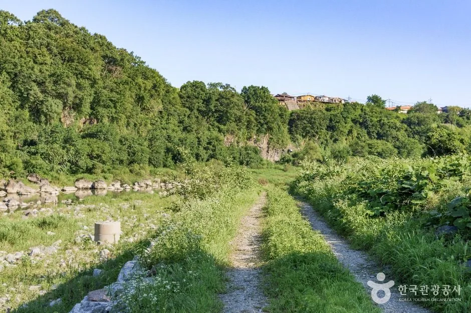 연천_차탄천 주상절리 (한탄강 유네스코 세계지질공원) (3)
