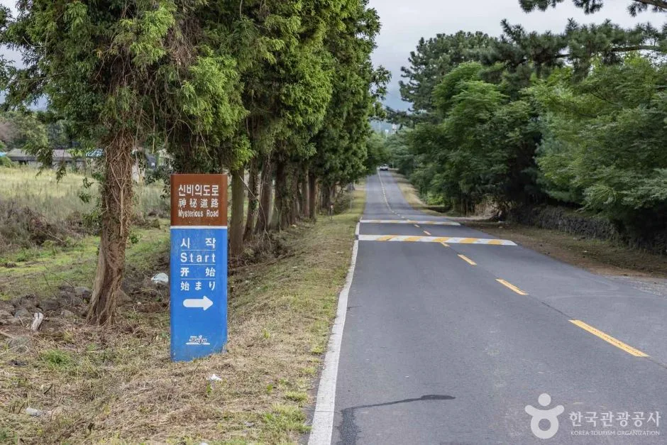 제주_신비의도로 (4)