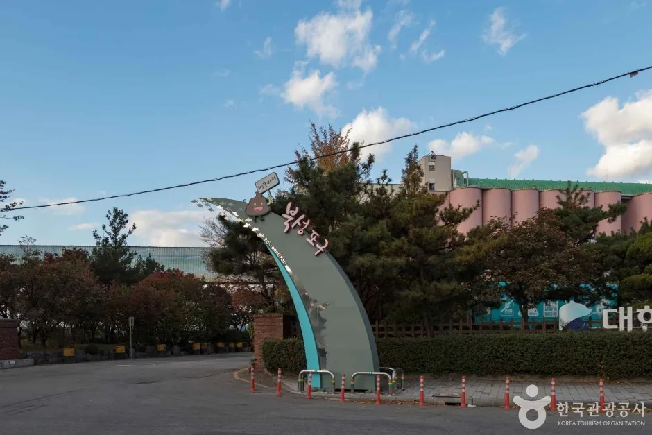 북성포구 (6)