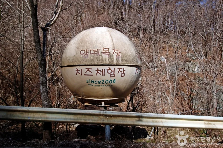 양떼목장임실치즈마을 (2)