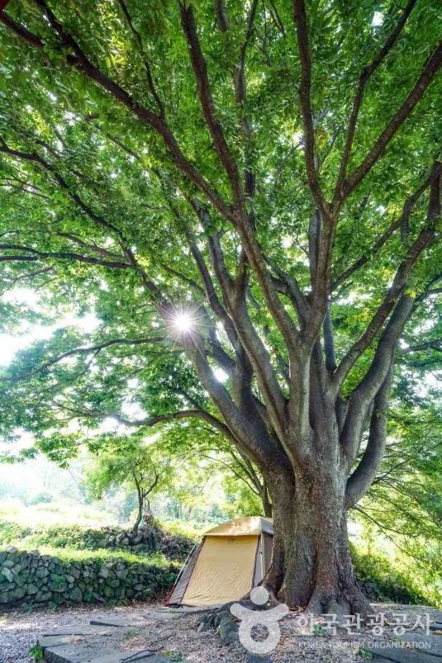 창원_부재산방 (4)