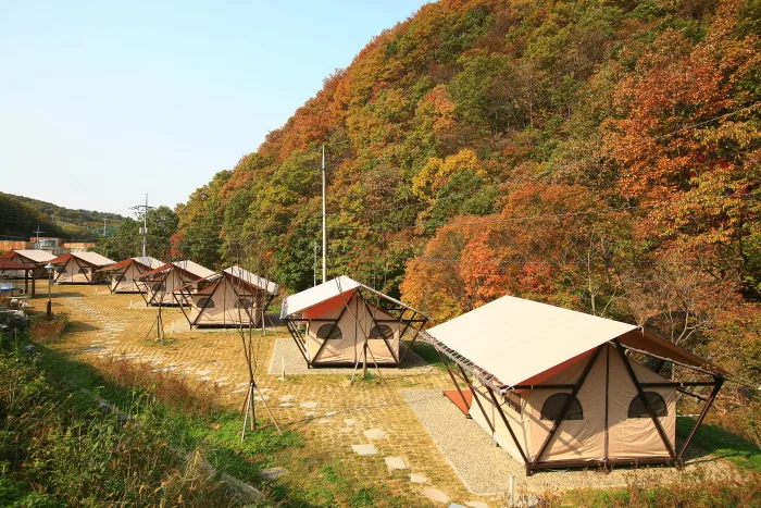 자연 속에서 즐기는 휴식 같은 캠핑