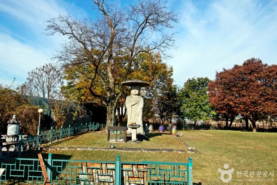 충주 원평리 석조여래입상 (5)