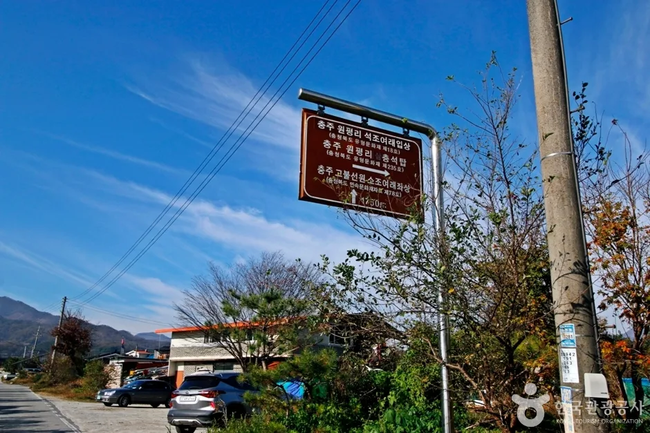 충주 원평리 석조여래입상 (4)