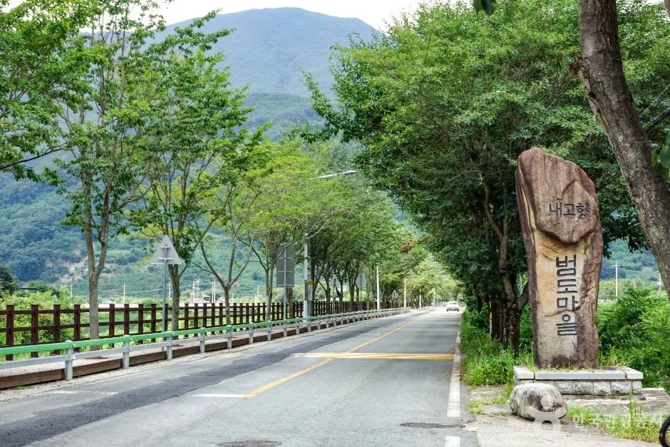 단장 이팝꽃 터널길 (6)