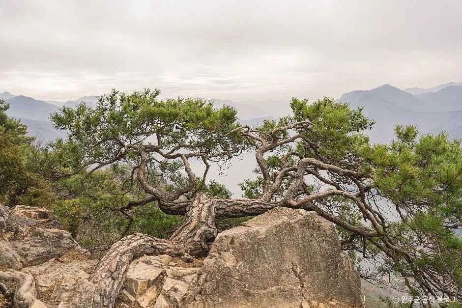 완주_운암산(완주) (3).jpg