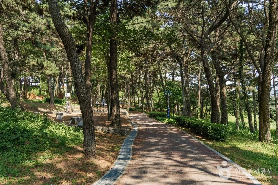 사천_초전공원 (4)