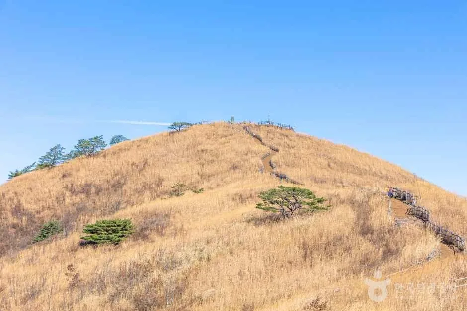 민둥산