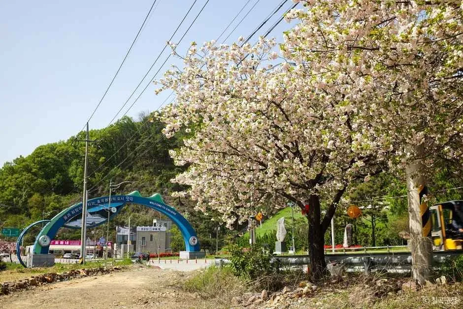칠곡_동명지수변공원 (4)