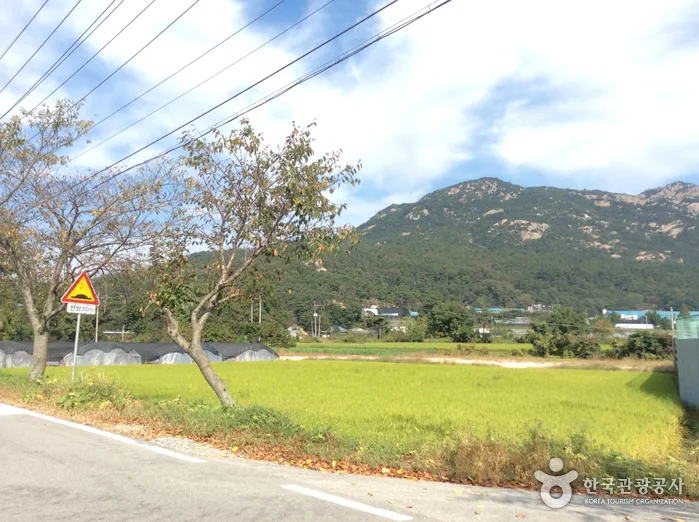 충남_홍성군_용봉산체험 정보화마을 (3).jpg