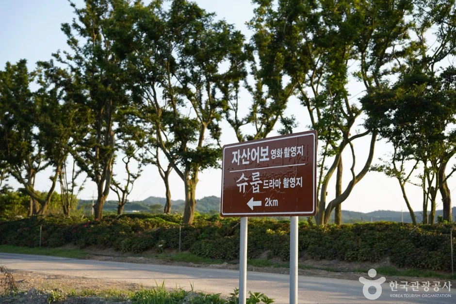 자산어보 촬영지 (1)