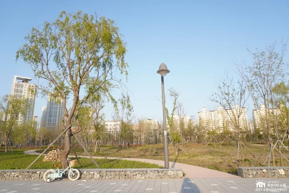 수원_글빛누리공원 (1).jpg