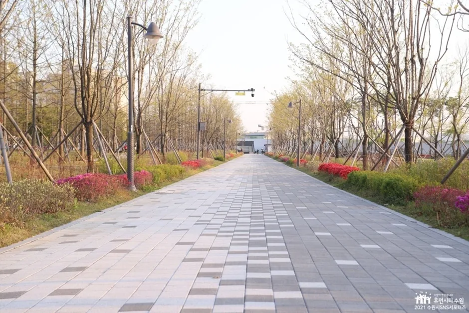 수원_글빛누리공원 (4).jpg