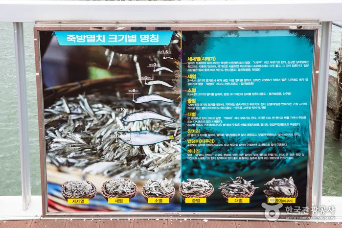 남해 지족해협 죽방렴