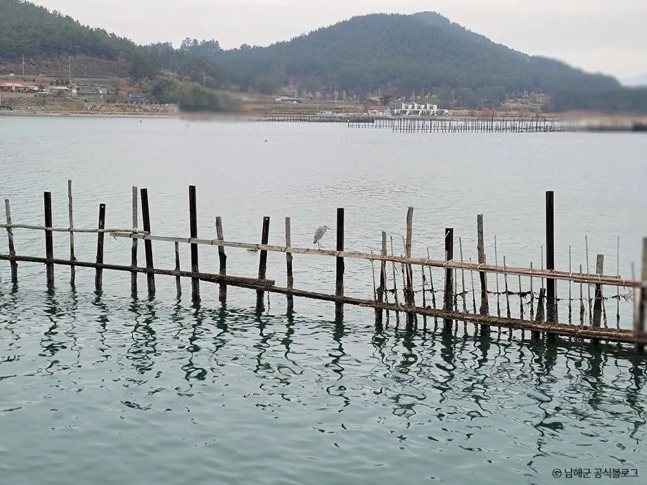 남해_창선교와 원시어업 죽방렴_6