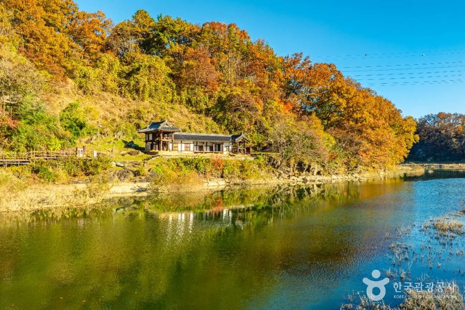 옥천군_옥천 이지당 (1)