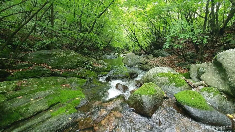 가평_석룡산 (5)