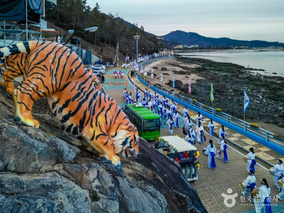 진도_진도 신비의 바닷길 (4)