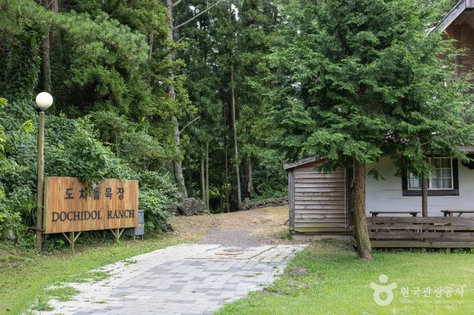 도치돌 알파카목장 (2)