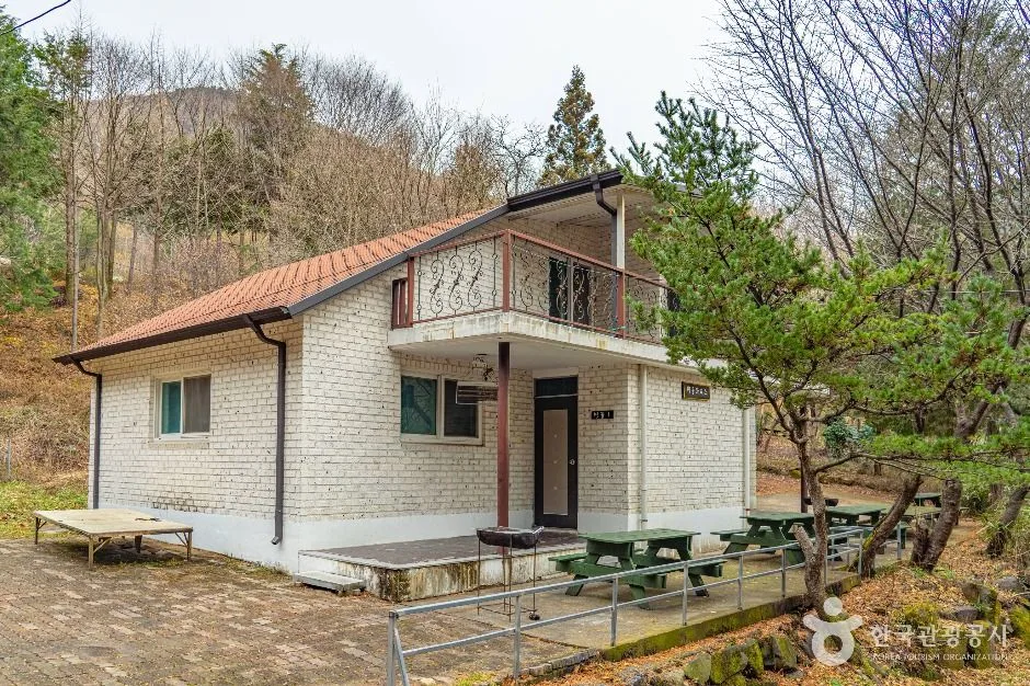 화순_무등산편백자연휴양림(6)