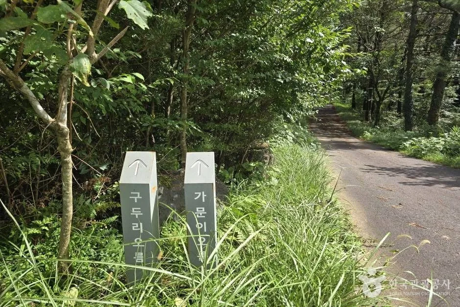 가문이오름(감은이오름)_e (1)
