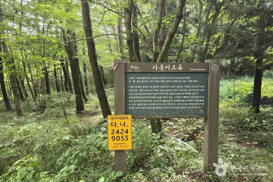 가문이오름(감은이오름)_e (2)