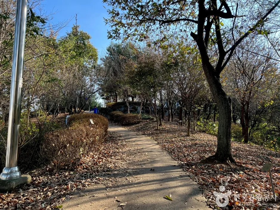 덕풍공원_11