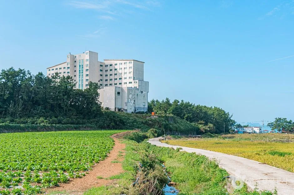 해남_땅끝송호마을 (4)