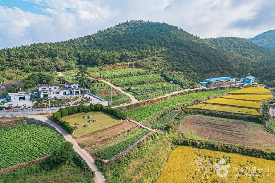 해남_땅끝송호마을 (3)